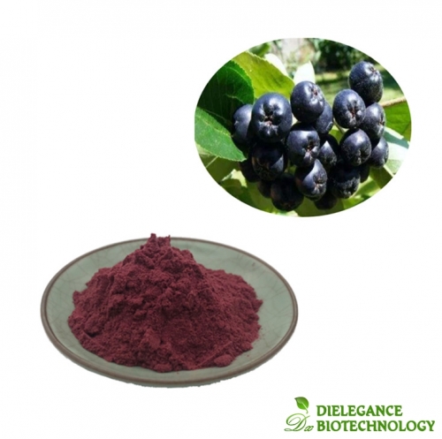 Pure Aronia Berry Extract Chokeberry Fruit Powder Anthocyanin