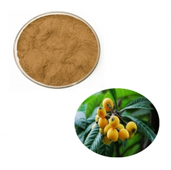 Pure Loquat Leaf Extract Ursolic Acid 25% Bulk Powder