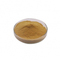 Pure Loquat Leaf Extract Ursolic Acid 25% Bulk Powder