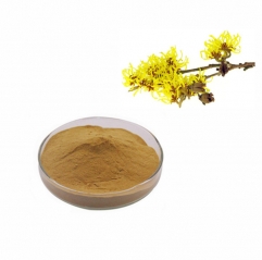 Cosmetic Raw Material Witch Hazel Extract in Powder