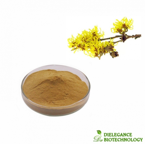 Cosmetic Raw Material Witch Hazel Extract in Powder