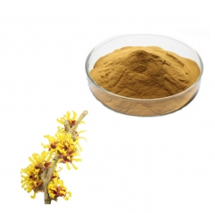 Cosmetic Raw Material Witch Hazel Extract in Powder