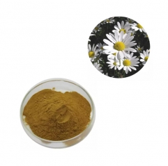 Pure Wild Chrysanthemum Morifolium Flower Extract Powder