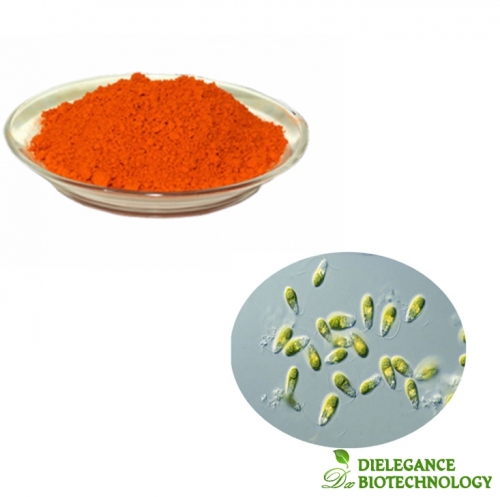 Pure Dunaliella Salina Algae Extract 5% Beta Carotene Powder