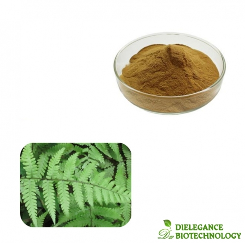 High Quality Polypodium Leucotomos Extract Powder Supplements