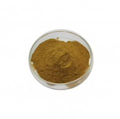 High Quality Polypodium Leucotomos Extract Powder Supplements