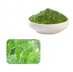 Pure Natural Organic Moringa Oleifera Leaf Extract Powder