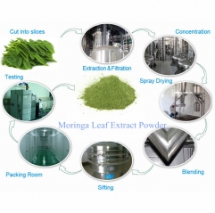 Pure Natural Organic Moringa Oleifera Leaf Extract Powder