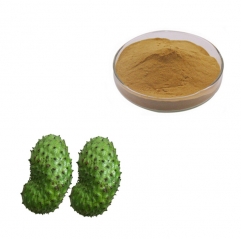 100% Pure Graviola Soursop Fruit Extract Powder Food and Drinks Raw Material