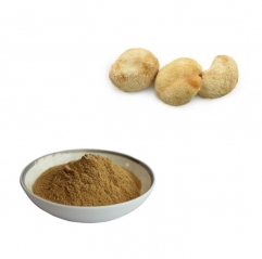 Wholesale Price Lions Mane Mushroom Extract Powder Organic