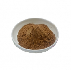Wholesale Organic Natural Chanca Piedra Extract Powder in Bulk