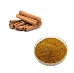 Food Grade Pure Cinnamon Bark Extract Powder with Wholesale Price