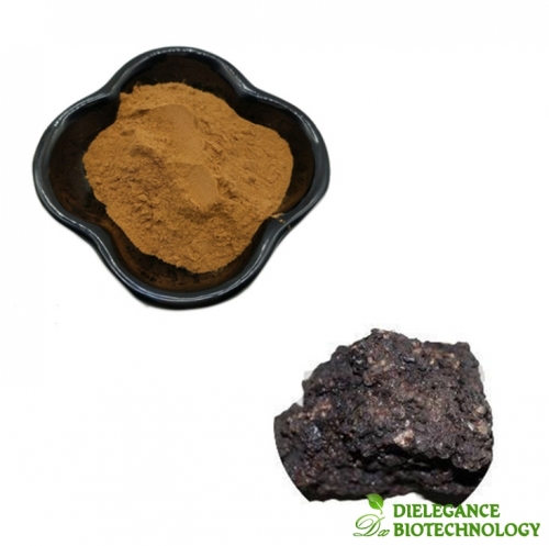 High Quality Pure Natural Shilajit Extract Fulvic Acid Powder