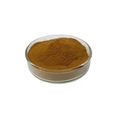 High Quality Pure Natural Shilajit Extract Fulvic Acid Powder
