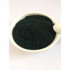 Supply Bulk Food Grade Nannochloropsis Oceanica Algae Powder