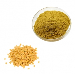 Pure Bulk Powder Fenugreek Seed Extract Powder 50% Saponins