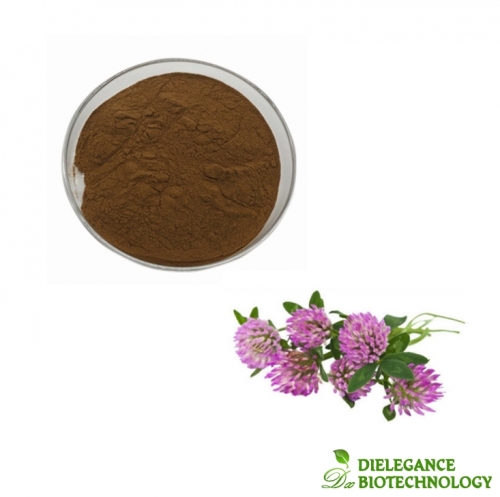Quality Red Clover Extract Powder 8% Isoflavones USP Standard