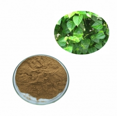 Good Quality 20:1 Cissus Quadrangularis Leaf Extract Powder