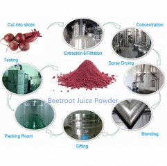 Wholesale 20:1 Organic Red Beet Root Beetroot Juice Extract Powder