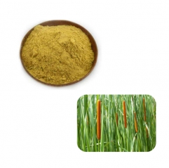 Pure Pu Huang Cattail Pollen Extract Powder Pollen Typhae Bulk