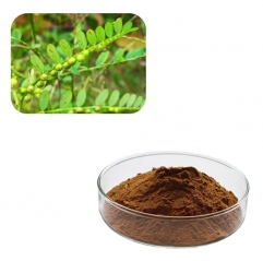 Wholesale Phyllanthus Urinaria Phyllanthus Niruri Herbs Extract Powder