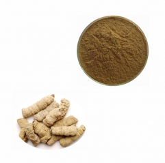 Morinda Officinalis Root Extract Pure Powder for Men's Health