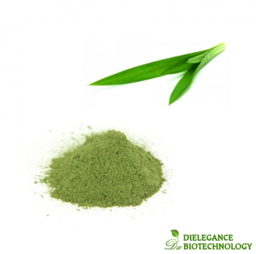 Food Ingredient 10:1 20:1 Pandan Leaf Extract Powder