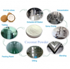 Factory Supply Bulk Water Coconut Milk Powder Pure Coconut Extract Powder
