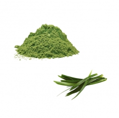 Food Ingredient 10:1 20:1 Pandan Leaf Extract Powder