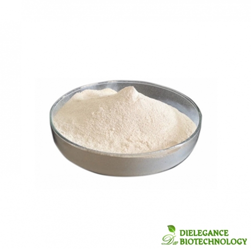 Factory Supply Bulk Water Coconut Milk Powder Pure Coconut Extract Powder