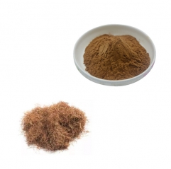 Food Grade Pure 10:1 20:1 Corn Stigma Corn Silk Extract Powder