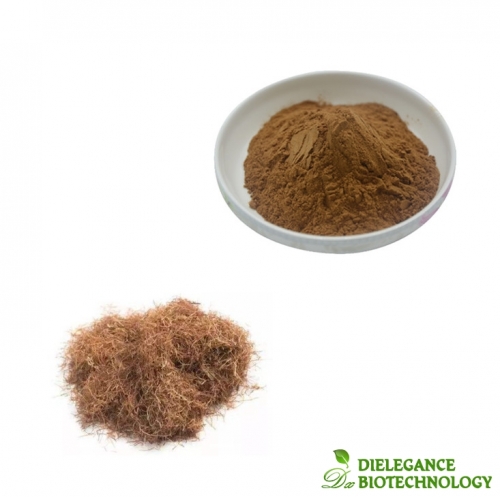 Food Grade Pure 10:1 20:1 Corn Stigma Corn Silk Extract Powder