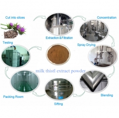 Health Supplement Ingredient 10:1 20:1 Milk Thistle Extract powder