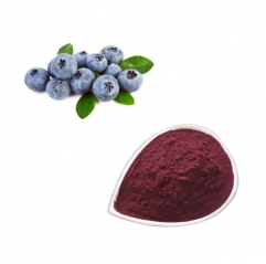 Pure Wild Blueberry Extract Powder with Rich Anthocyanins