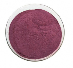 Pure Wild Blueberry Extract Powder with Rich Anthocyanins