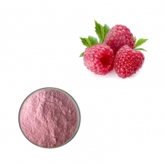 Organic Spray Dried Berry Powder Raspberry Powder