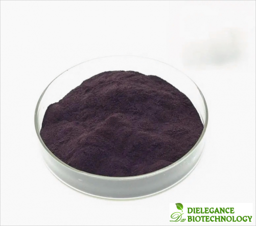 Bilberry Extract Anthocyanin Powder