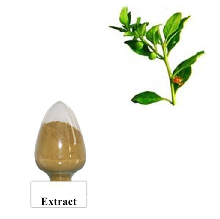 Ashwagandha Extract Powder: The Ancient Adaptogen for Modern Wellness