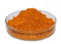 Natural vs. Synthetic: Choosing the Right 95% Curcuminoids for Your Supplement Brand