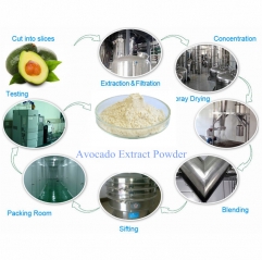 Avocado Extract Powder (Persea Americana)