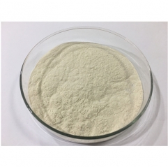 Avocado Extract Powder (Persea Americana)