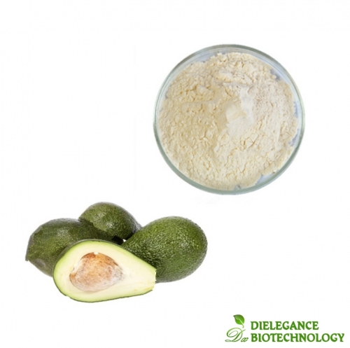 Avocado Extract Powder (Persea Americana)