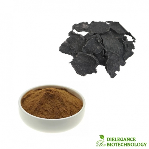 Stevia Extrakt 99% Rebaudiosid EIN Pulver