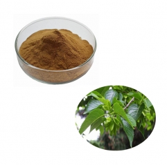 Eucommia Ulmoides Extract Powder