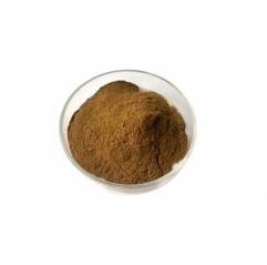 Eucommia Ulmoides Extract Powder