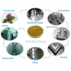 Pure Holy Basil Extract (Standardized for Ursolic Acid)