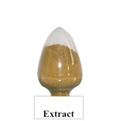 Pure Holy Basil Extract (Standardized for Ursolic Acid)