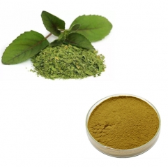 Pure Holy Basil Extract (Standardized for Ursolic Acid)