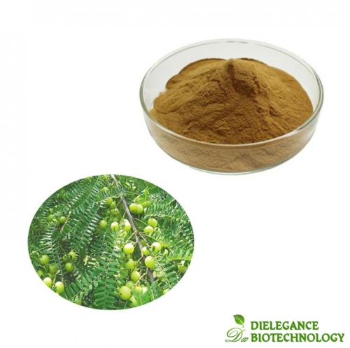 Natural Phyllanthus Emblica Extract Powder (Amla)