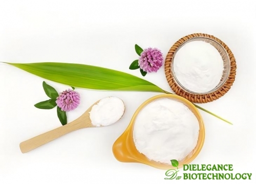 Fructooligosaccharides Powder (FOS) Powder